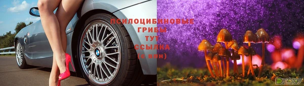 метадон Михайлов