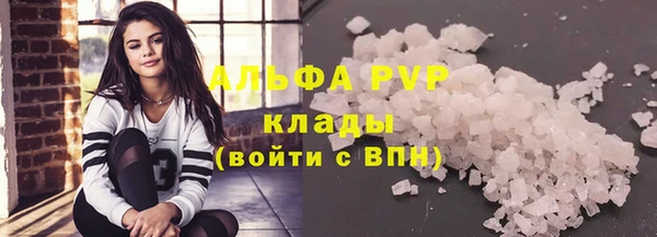 PSILOCYBIN Вязники