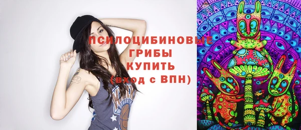 соль ск Навашино