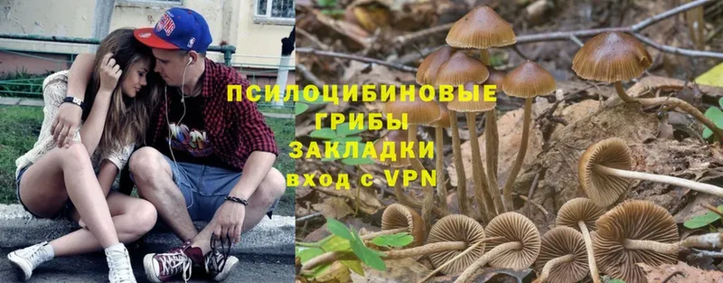 Галлюциногенные грибы Psilocybe  цена   МЕГА как войти  Макушино 